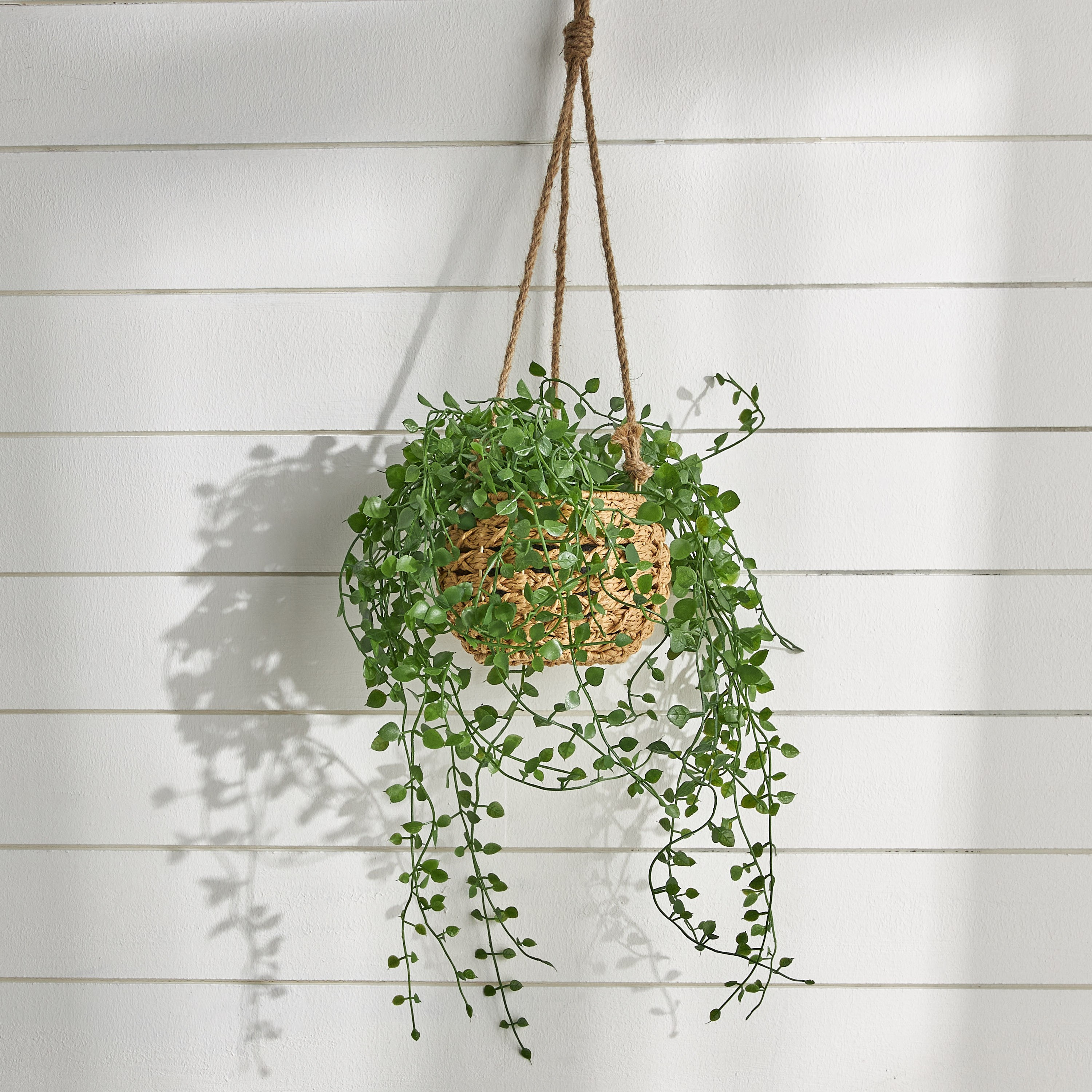 Alura Ivy Plant- 46 cm-household-gardenandoutdoor-artificialplants-pottedplants-image-1