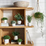 Alura Ivy Plant- 46 cm-household-gardenandoutdoor-artificialplants-pottedplants-image-3