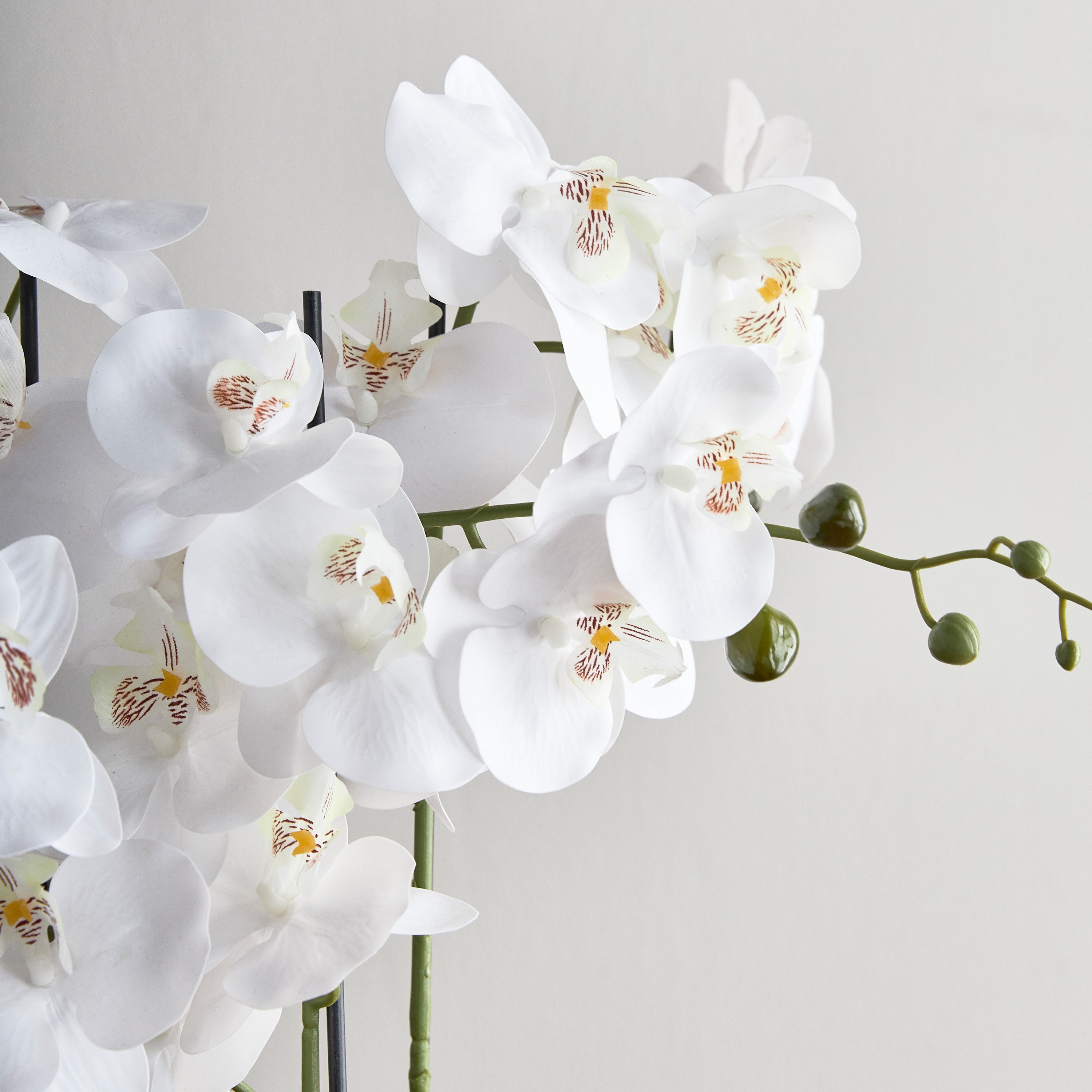 Lottie Orchid Stem in Pot - 64 cm-household-gardenandoutdoor-artificialflowersandplants-flowers-image-2