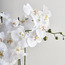 جذع أوركيد في إناء - لوتي - 64 سم-household-gardenandoutdoor-artificialflowersandplants-flowers-image-3