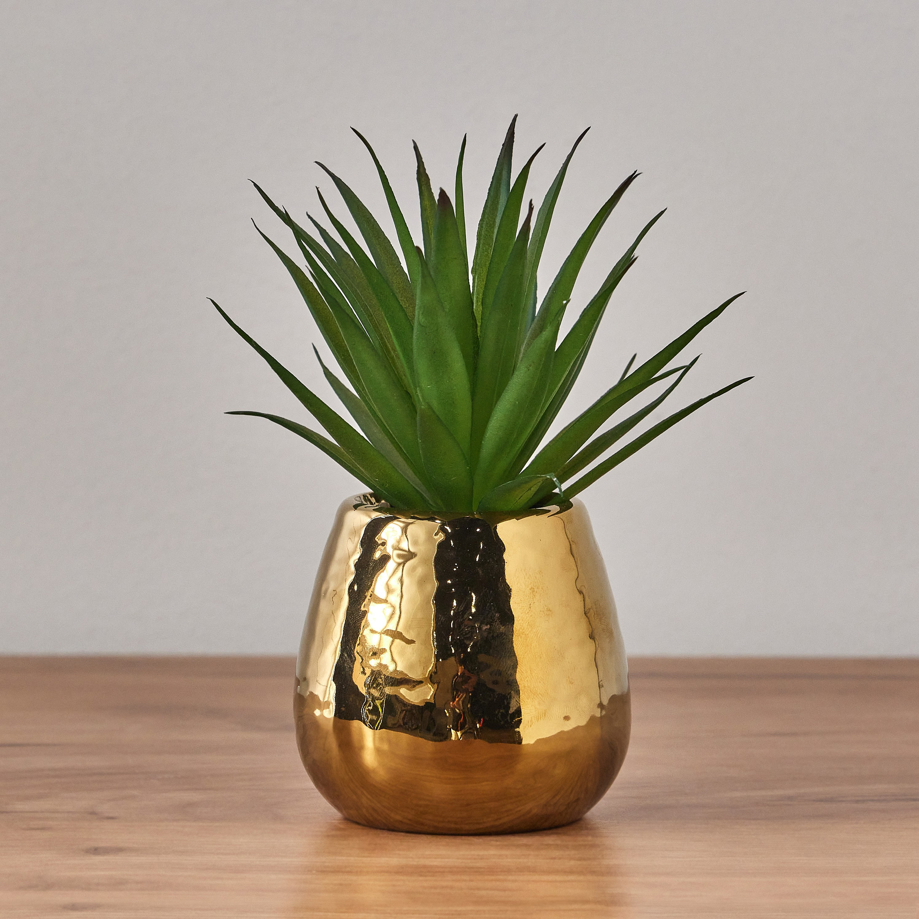 Ida Aloe Plant in Pot - 17 cm-household-gardenandoutdoor-artificialplants-pottedplants-image-1