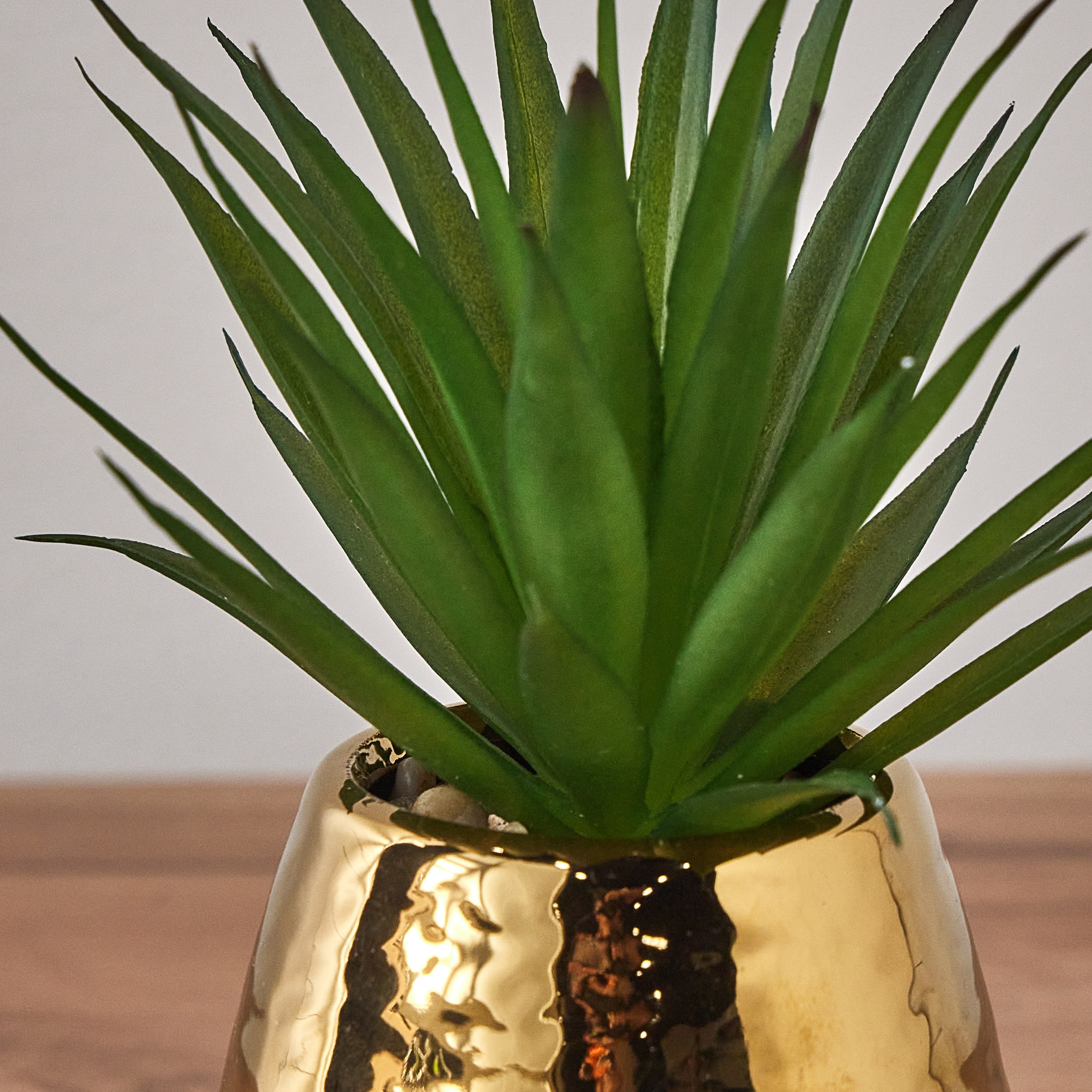 Ida Aloe Plant in Pot - 17 cm-household-gardenandoutdoor-artificialplants-pottedplants-image-2