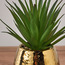 نبات الصبار في إناء - إيدا - 17 سم-household-gardenandoutdoor-artificialplants-pottedplants-image-2