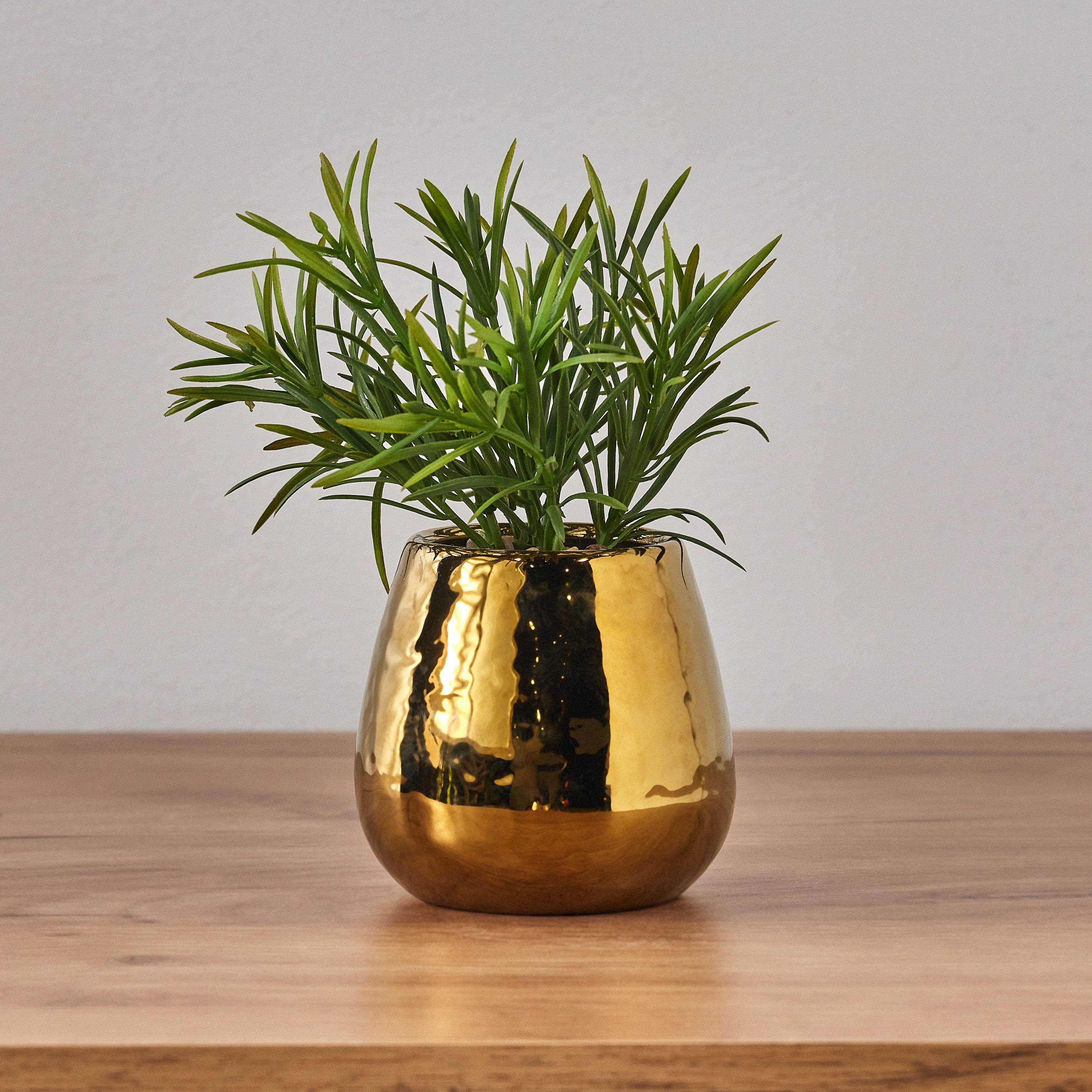 Ida Spike Plant in Pot - 17 cm-household-gardenandoutdoor-artificialplants-pottedplants-image-1