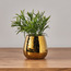 Ida Spike Plant in Pot - 17 cm-household-gardenandoutdoor-artificialplants-pottedplants-image-1