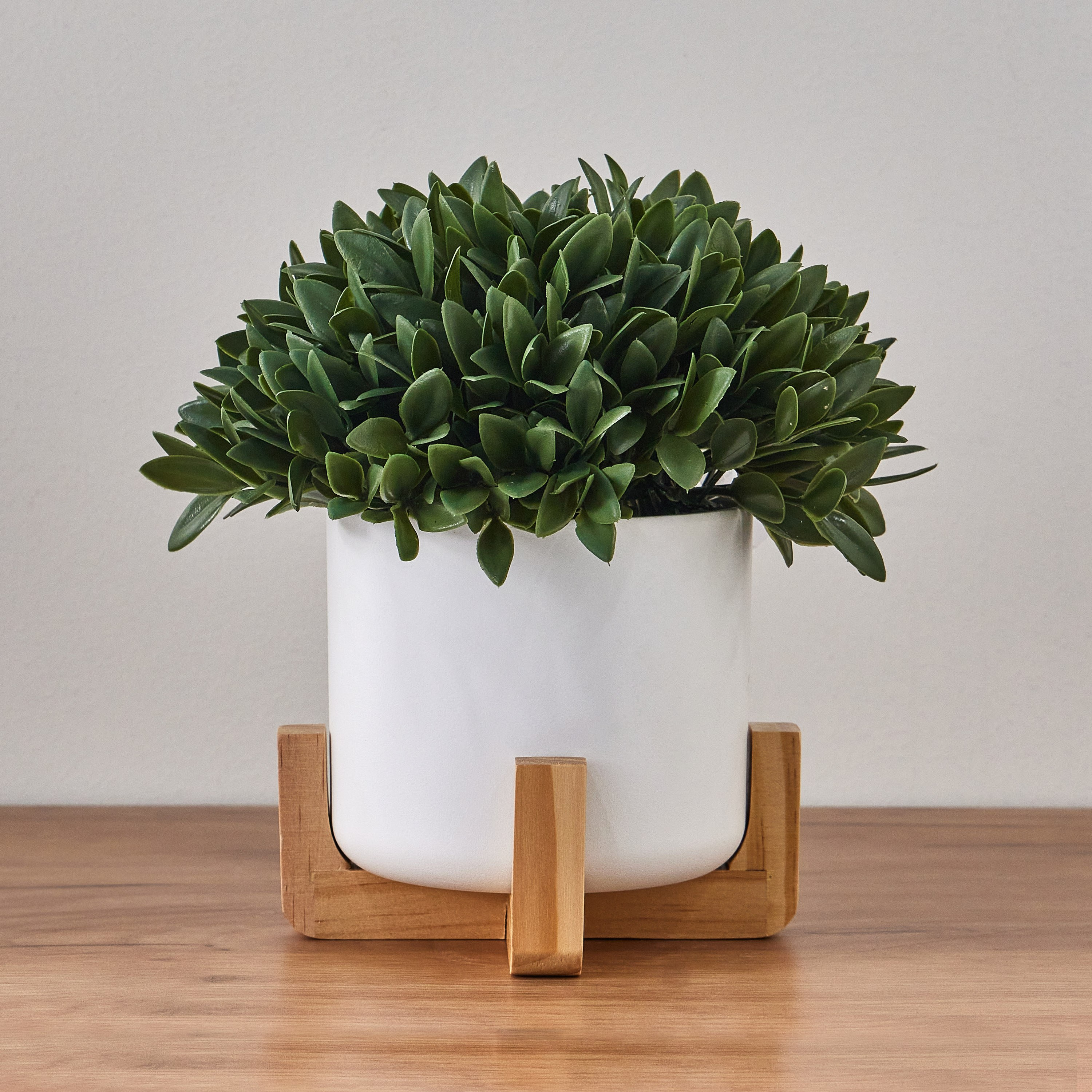 Viv Bay Leaf Plant in Pot - 23 cm-household-gardenandoutdoor-artificialplants-pottedplants-image-1