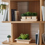 Wooden 3-Piece Mixed Plant in Pot Set - 18 cm-binpromo_ALLBANKS_OMN_14032025-image-3