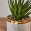 Aloe Plant in Pot - 17 cm-household-gardenandoutdoor-artificialplants-succulents-image-2
