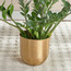 Satin Planter - 23 cm-household-gardenandoutdoor-potsandplanters-planters-image-1