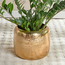 Sparkle Metal Straight Planter - 26 cm-household-gardenandoutdoor-potsandplanters-planters-image-1