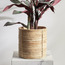 Deia Rattan Planter - 25 cm-binpromo_ALLBANKS_OMN_14032025-image-1