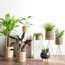 Deia Rattan Planter - 25 cm-binpromo_ALLBANKS_OMN_14032025-image-4