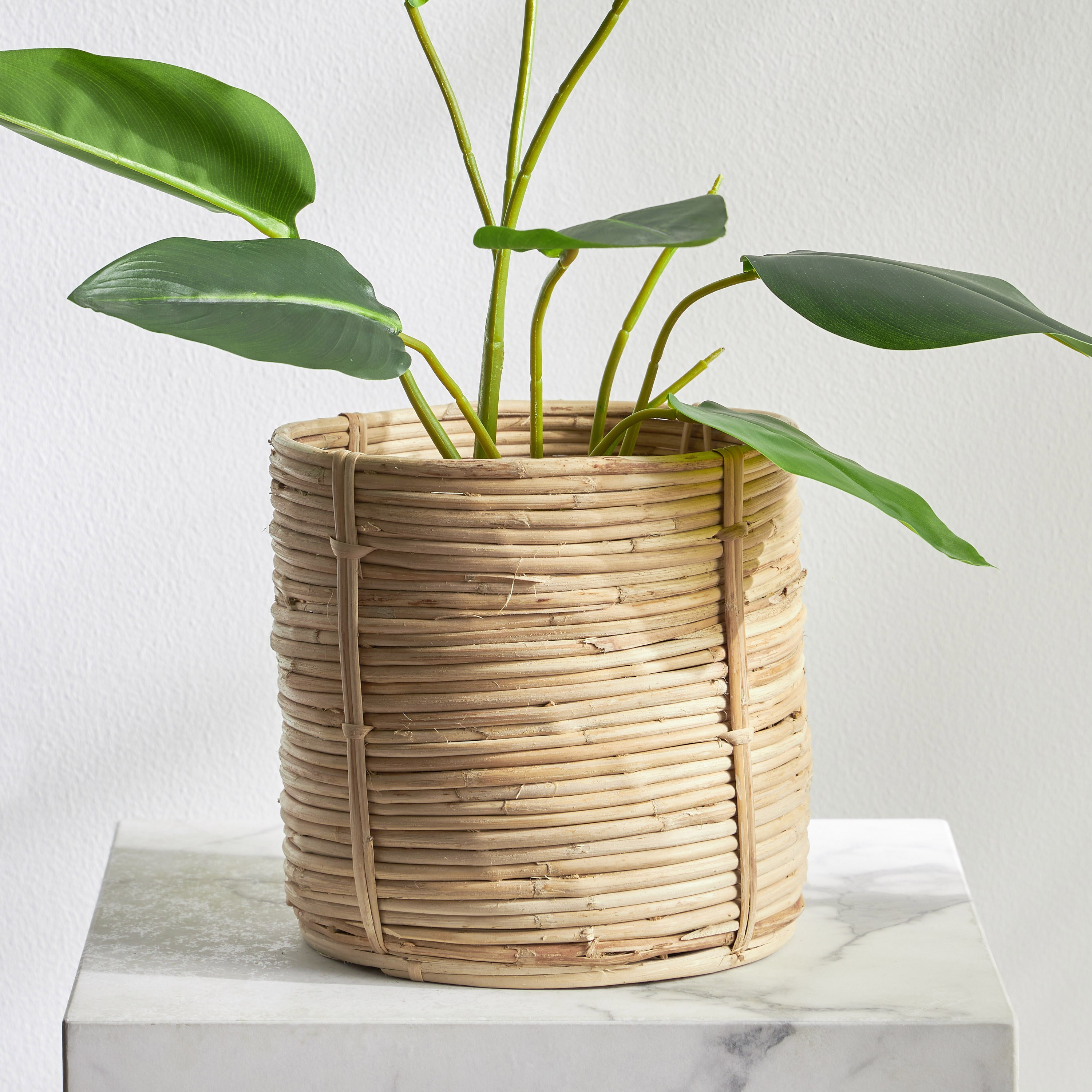 Deia Rattan Planter - 20 cm-household-gardenandoutdoor-potsandplanters-planters-image-1