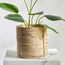 إناء زرع روطان - ديا - 20 سم-household-gardenandoutdoor-potsandplanters-planters-image-4
