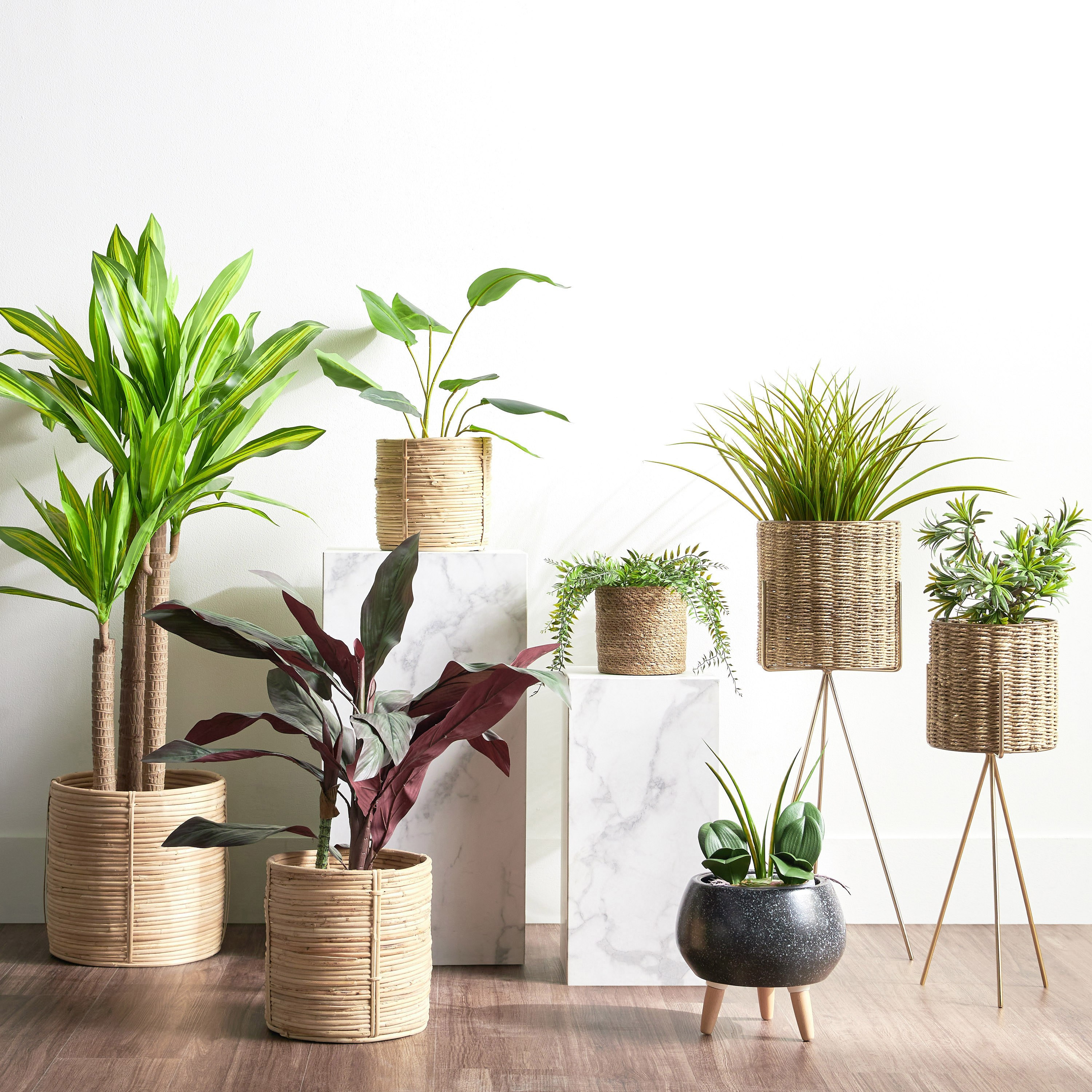 Deia Rattan Planter - 20 cm-household-gardenandoutdoor-potsandplanters-planters-image-4