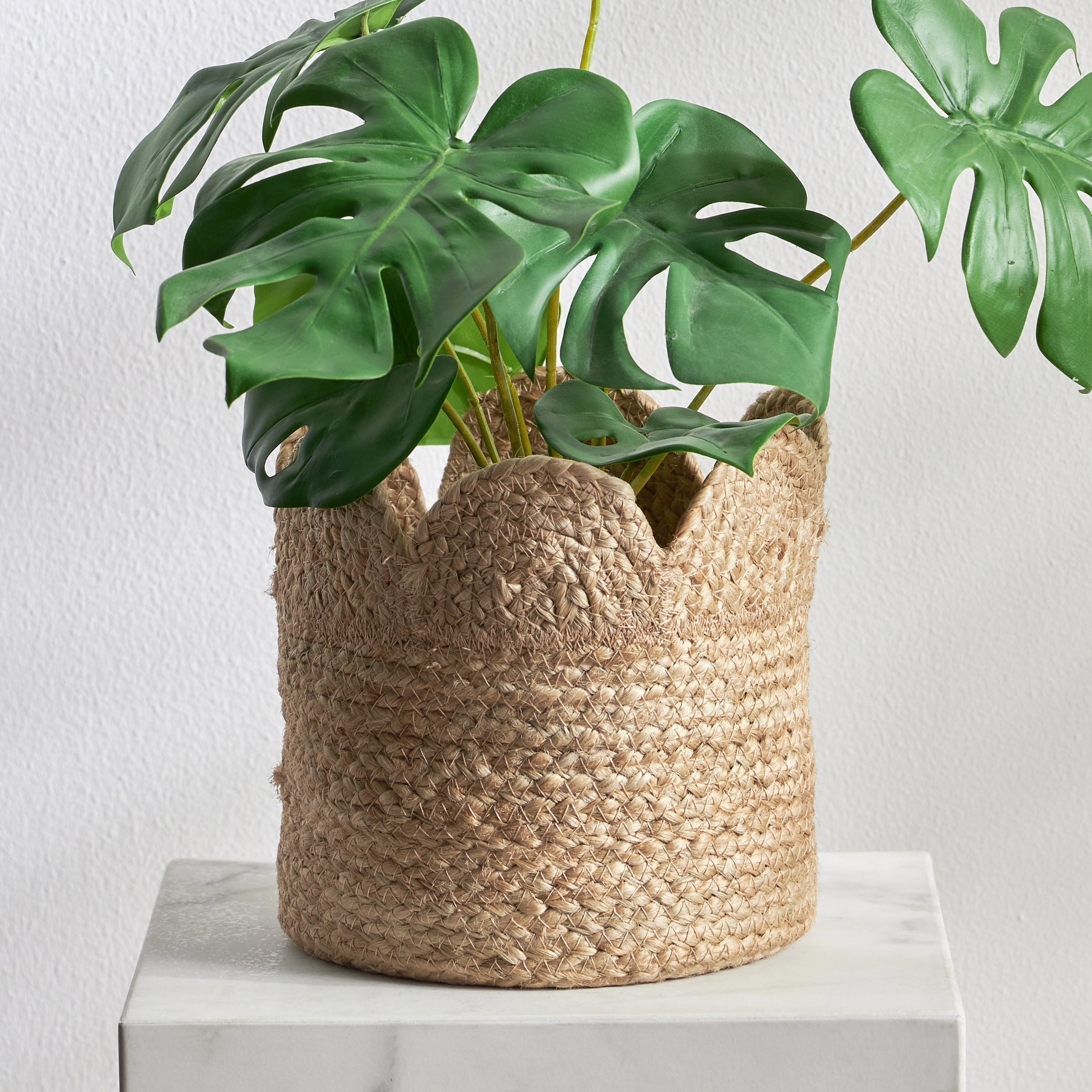 إناء زرع طبيعي - أمور - 17 سم-household-gardenandoutdoor-potsandplanters-planters-image-1