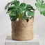 Amour Natural Planter - 17 cm-household-gardenandoutdoor-potsandplanters-planters-image-1