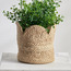Amour Natural Planter - 14 cm-household-gardenandoutdoor-potsandplanters-planters-image-1