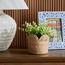 إناء زرع طبيعي - أمور - 14 سم-binpromo_ALLBANKS_OMN_14032025-image-2