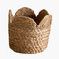 إناء زرع طبيعي - أمور - 14 سم-binpromo_ALLBANKS_OMN_14032025-image-1