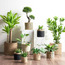 Altea Seagrass Planter - 35 cm-household-gardenandoutdoor-potsandplanters-planters-image-4