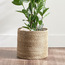 Altea Seagrass Planter - 32 cm-household-gardenandoutdoor-potsandplanters-planters-image-1