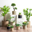 Altea Seagrass Planter - 32 cm-household-gardenandoutdoor-potsandplanters-planters-image-4