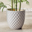 إناء زرع سيراميك - هيرا - 32 سم-household-gardenandoutdoor-potsandplanters-planters-image-4