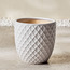 إناء زرع سيراميك - هيرا - 32 سم-household-gardenandoutdoor-potsandplanters-planters-image-3