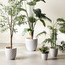 Hera Ceramic Planter - 40 cm-binpromo_KSA_Alrajhi_17062026-image-4
