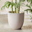 إناء زرع سيراميك - ثيميس- 32 سم-household-gardenandoutdoor-potsandplanters-planters-image-4