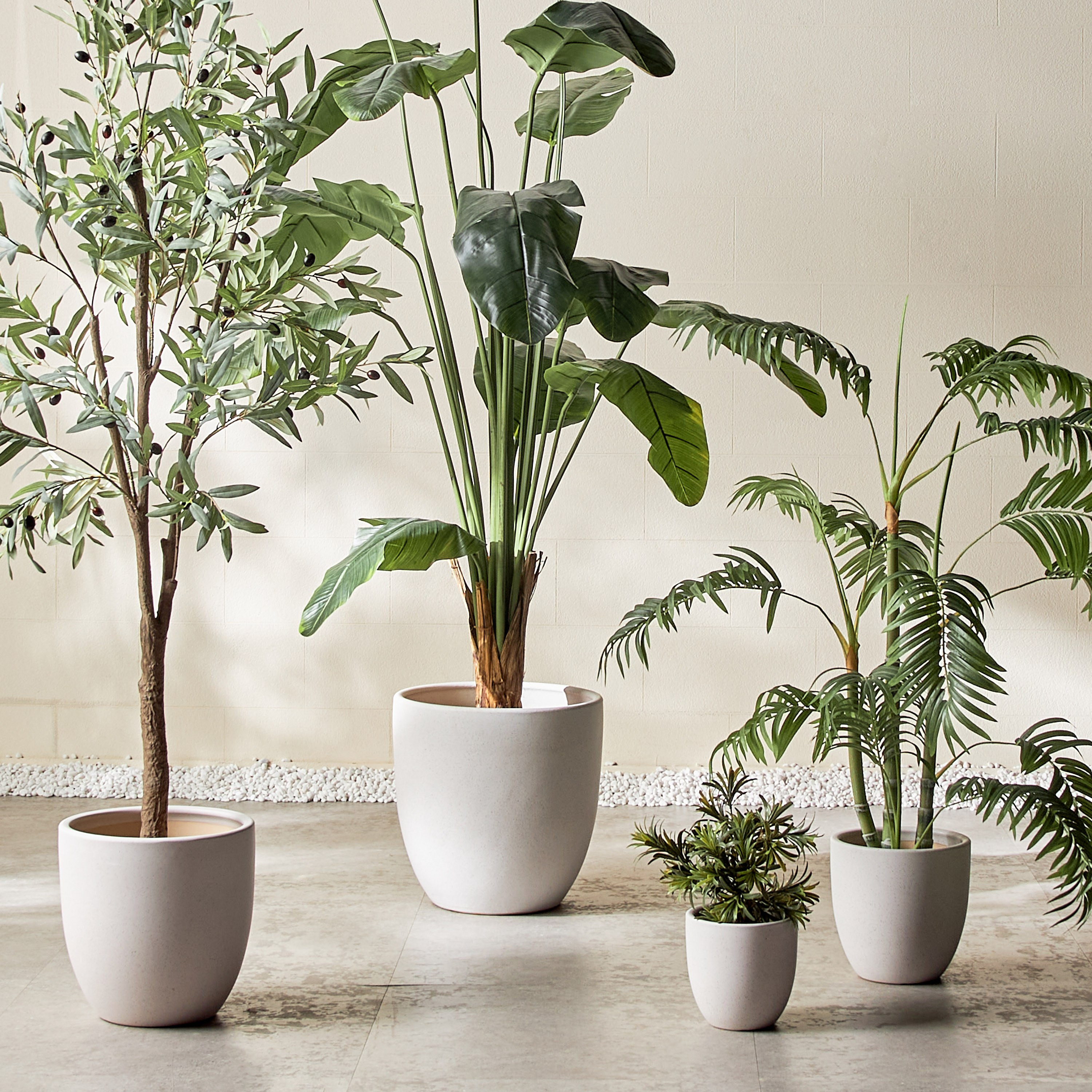 Themis Ceramic Planter - 24 cm-household-gardenandoutdoor-potsandplanters-planters-image-4