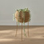 Natura Seagrass Planter with Stand - 51 cm-household-gardenandoutdoor-potsandplanters-planters-image-1