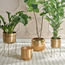 Elementary Metal Planter with Stand - 49 cm-household-gardenandoutdoor-potsandplanters-planters-image-5