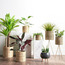 Natura Weave Planter with Tripod Stand-household-gardenandoutdoor-potsandplanters-planters-image-5