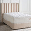 Plush Latex Visco Memory High Resilience Foam Spring Single Mattress - 120x200 cm-furniture-mattresses-singlemattresses-image-4
