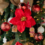 Poinsettia Clip-On Ornament - 24 cm-household-christmas-treesandornaments-treeornaments-image-3