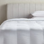 Argent Silver Ion Down Alternative Mid Warm Queen Duvet - 200x200 cm-household-bedding-duvetandcovers-duvets-image-1