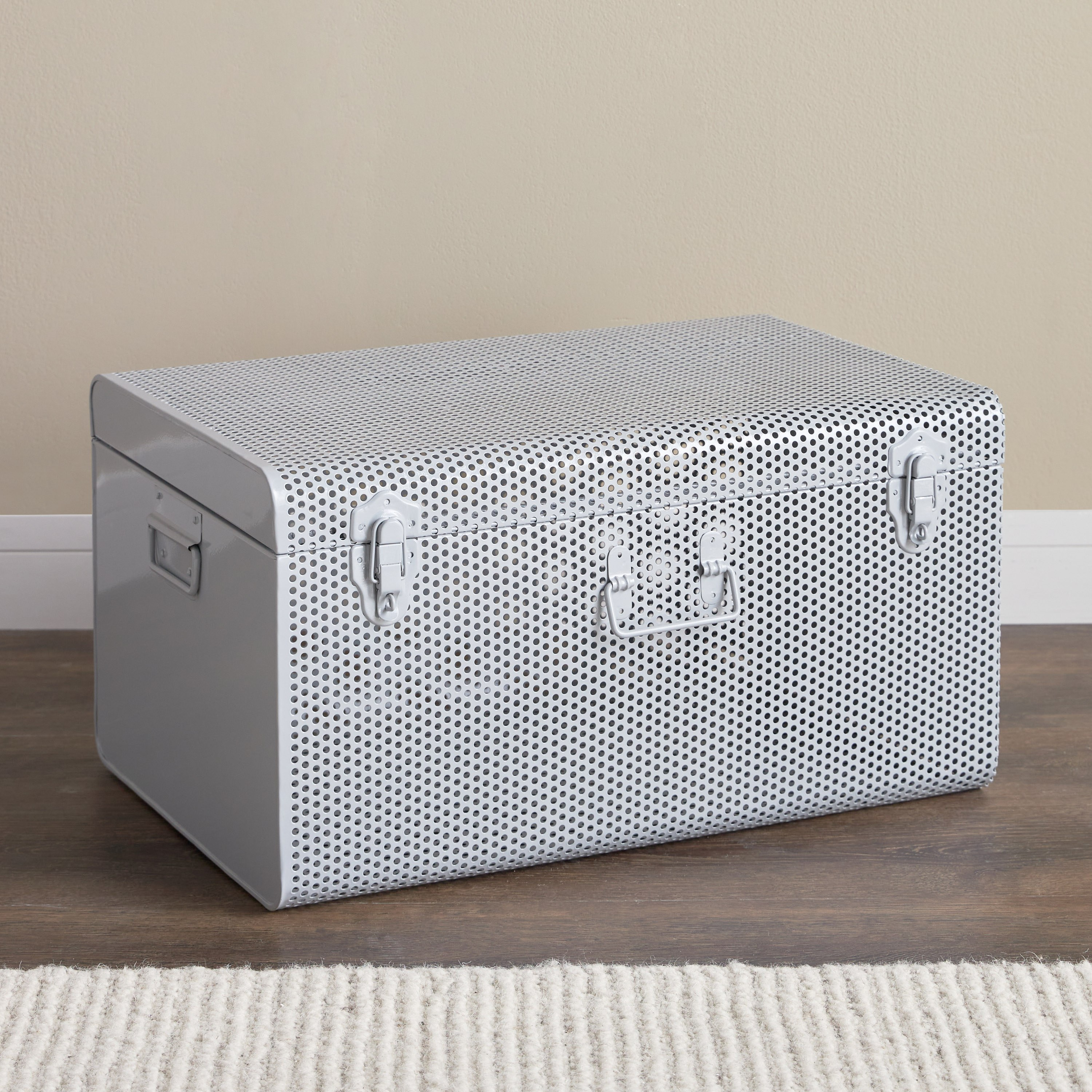 Steel storage online trunk