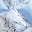 طقم لحاف وشرشف كينج 6 قطع بطبعات ورق شجر - كالب - 240x260 سم-household-bedding-comfortersandbedspreads-bedinabag-image-3