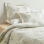 Elisha Botanical Print 4-Piece Full Comforter and Sheet Set - 160x240 cm-binpromo_ALLBANKS_OMN_14032025-image-1