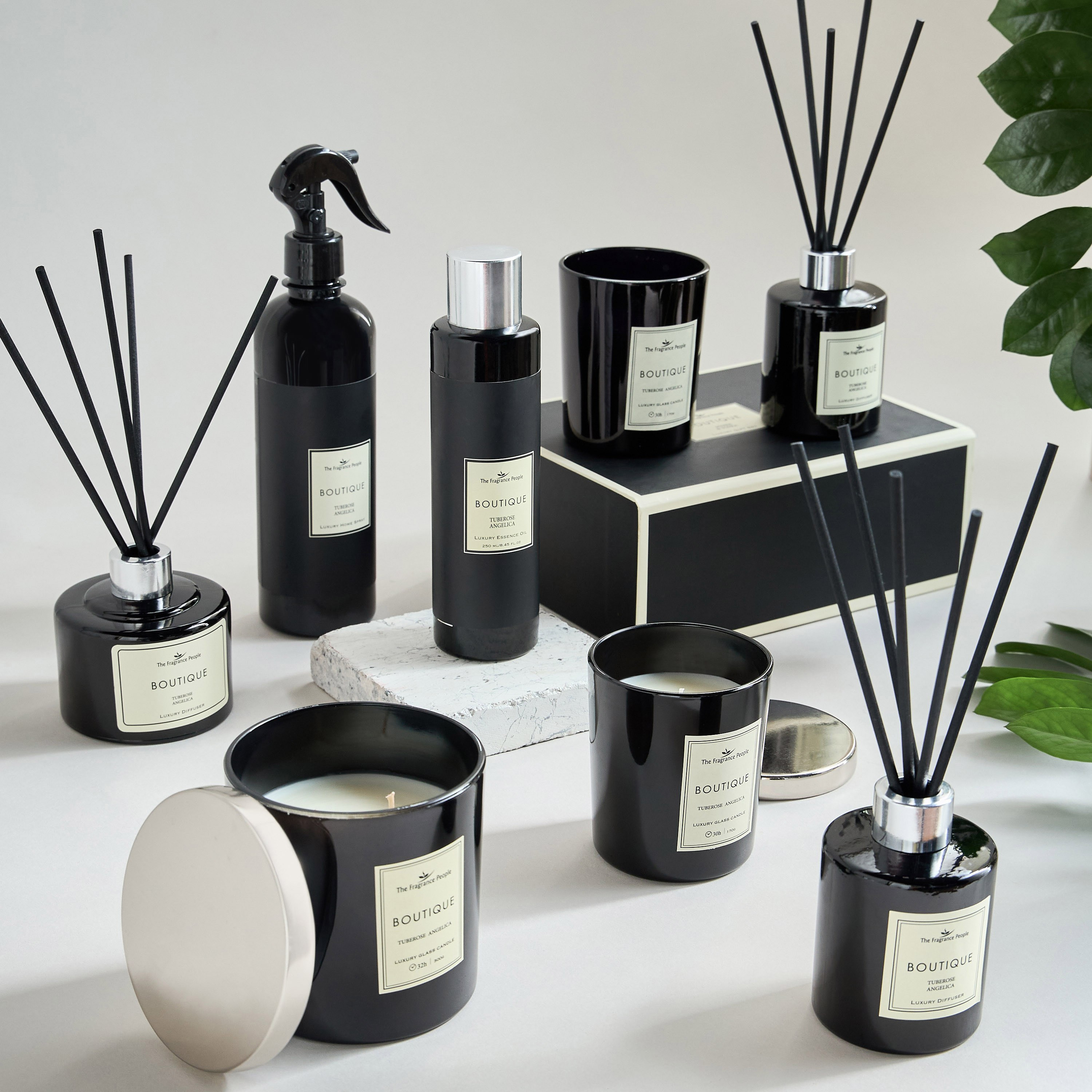 Boutique Tuberose Angelica Scented Diffuser Oil - 250 ml-household-homefragrance-fragranceoilsandessence-image-3