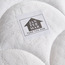 Siesta Foam Queen Mattress - 160x200 cm-staff_HC_OM_discountpromo_20042020-image-4