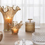 مزهرية زجاجية- مليوند- 30 سم-household-decor-vasesandbowls-image-1