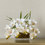Roseus Orchid Cymbidium Plant with Pot - 34 cm-binpromo_KSA_Alrajhi_17062026-image-1