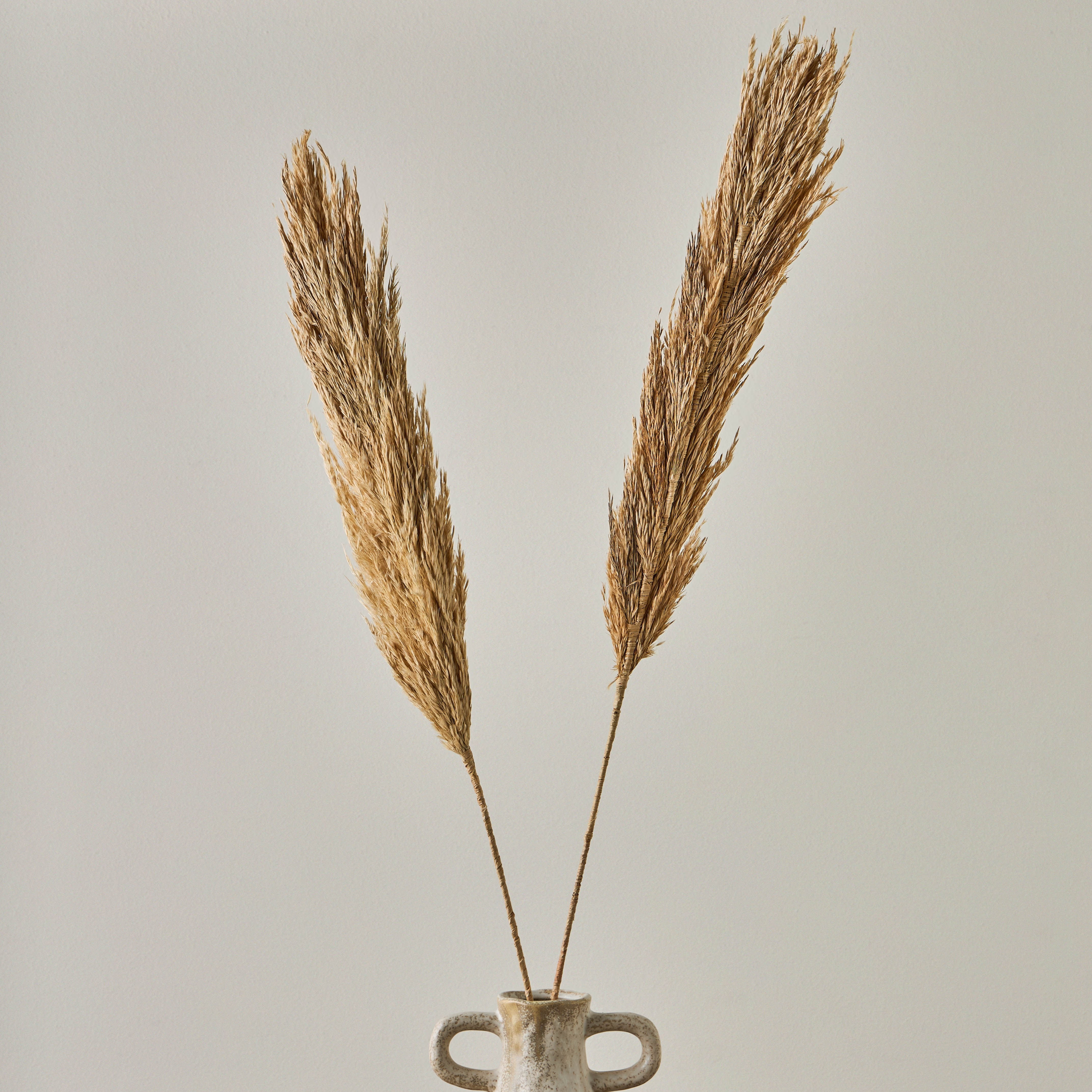 Deco Natal Flower Jhar Sticks - 100 cm-household-gardenandoutdoor-artificialflowersandplants-fillers-image-1