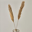 أعواد جار زهرة ناتال- ديكو  - 100 سم-household-gardenandoutdoor-artificialflowersandplants-fillers-image-3