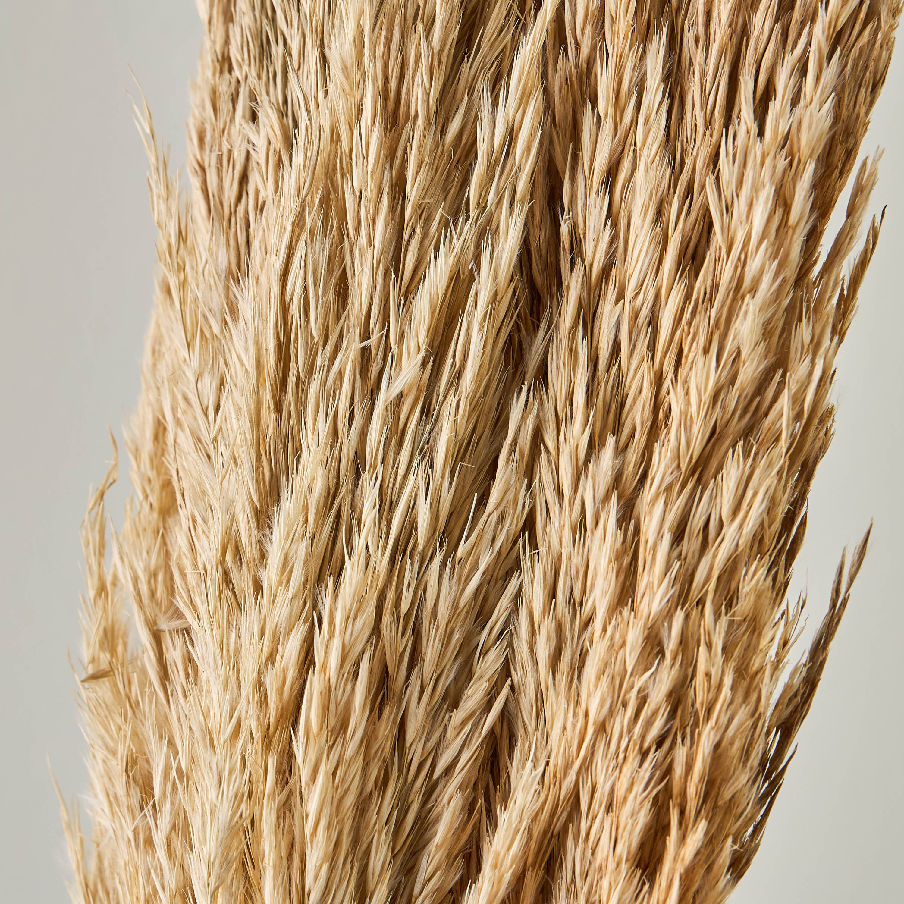 Deco Natal Flower Jhar Sticks - 100 cm-household-gardenandoutdoor-artificialflowersandplants-fillers-image-2