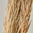 أعواد جار زهرة ناتال- ديكو  - 100 سم-household-gardenandoutdoor-artificialflowersandplants-fillers-image-2
