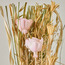 Dried Sola Thai Rose - 9 cm-household-gardenandoutdoor-artificialflowersandplants-bundlesandbouquets-image-2